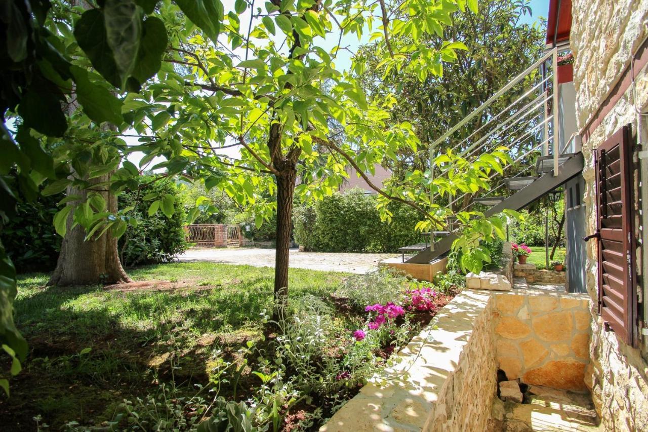 Carla Guest House Novigrad Istria Exteriör bild