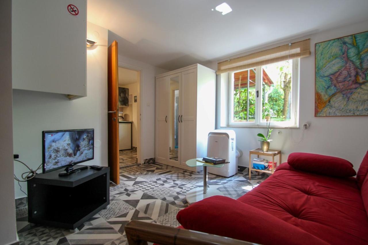 Carla Guest House Novigrad Istria Exteriör bild